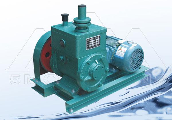 -國(guó)產(chǎn)高端真空泵，立足于科研創(chuàng)新，服務(wù)于高端造紙行業(yè)