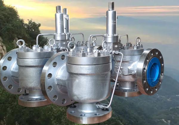 -深化品質(zhì)改革 五岳安全閥為生產(chǎn)安全筑牢“防火墻”