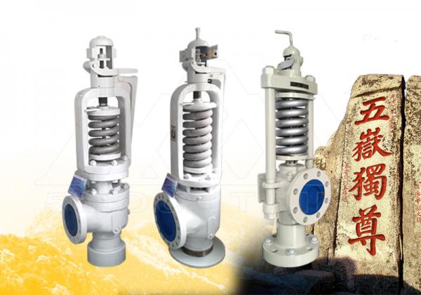 -蒸汽安全閥的功能與應(yīng)用探討