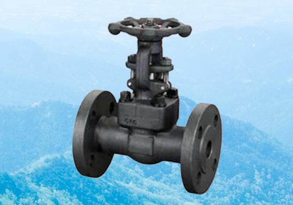 -萬(wàn)能閥門(mén)Z41Y鍛鋼閘閥助力管線恢復(fù)穩(wěn)定運(yùn)行